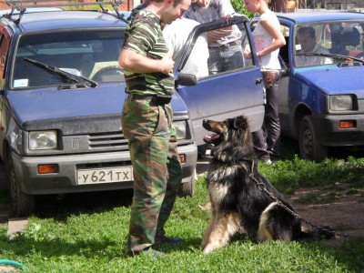 SAM_0532.JPG