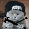 av017.gif