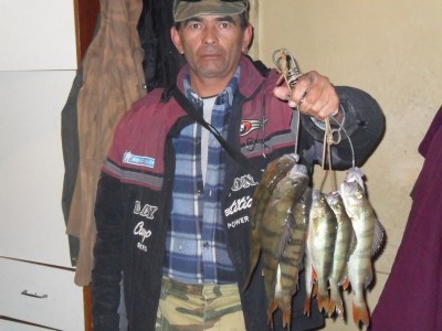 SAM_0836.JPG