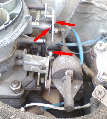 reg-shag.jpg