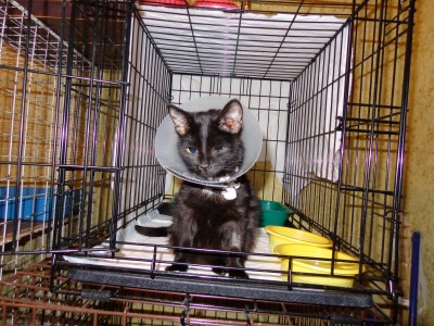 DSC00033_измен.размер.JPG