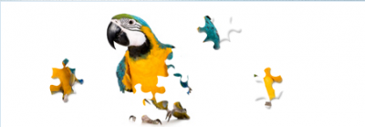 kapcha.png