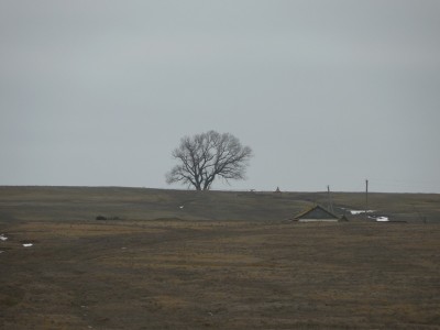 DSCN1726.JPG